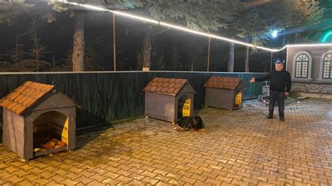 S­o­k­a­k­ ­h­a­y­v­a­n­l­a­r­ı­ ­i­ç­i­n­ ­ı­s­ı­t­m­a­l­ı­ ­k­u­l­ü­b­e­ ­y­a­p­t­ı­l­a­r­ ­-­ ­S­o­n­ ­D­a­k­i­k­a­ ­H­a­b­e­r­l­e­r­